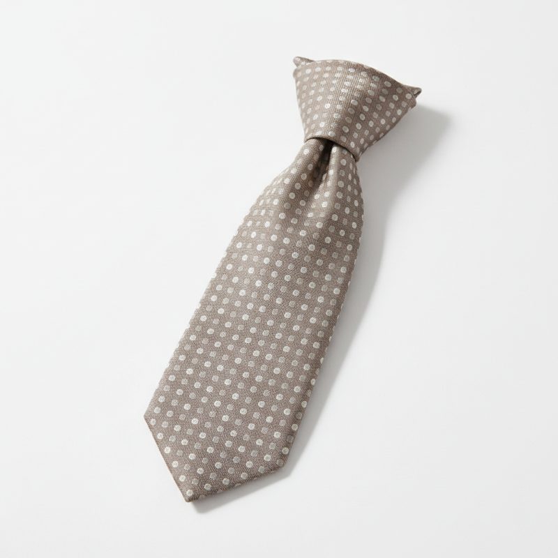 Stone Textured Dotted Silk Tie